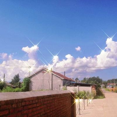 炸金花单机游戏手机app下载